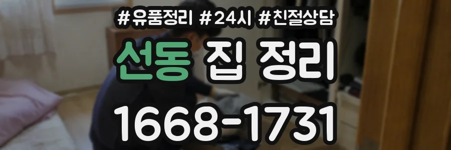 선동 집 정리