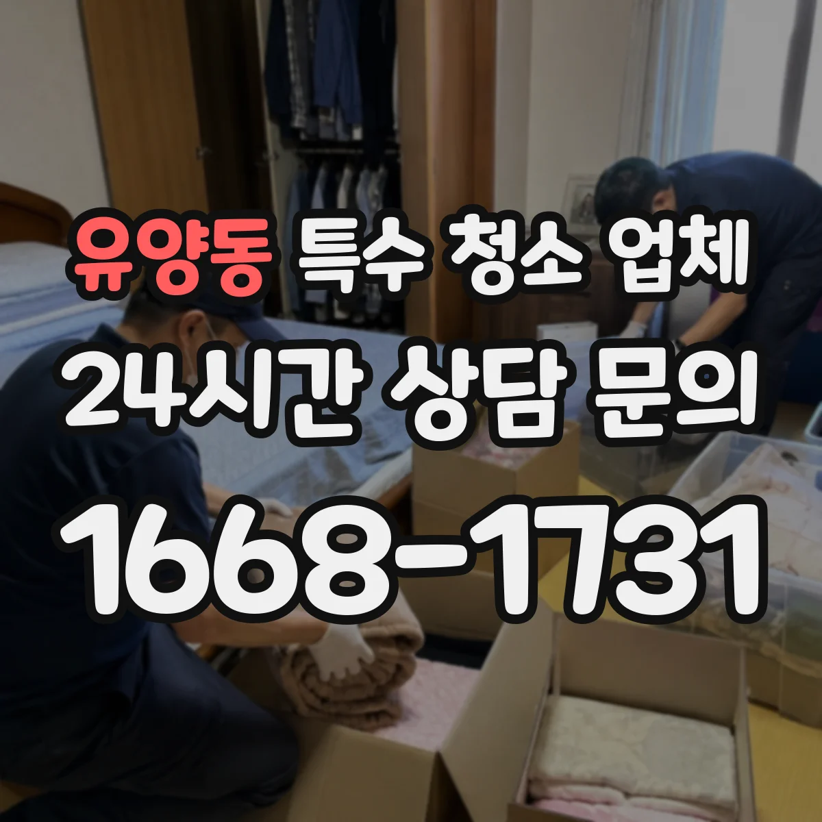 유양동 특수 청소 업체