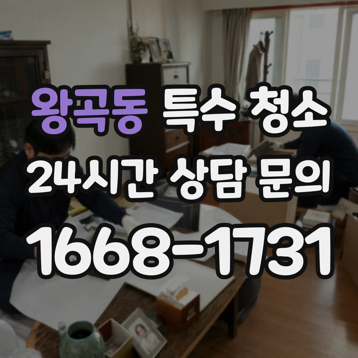 왕곡동 특수 청소