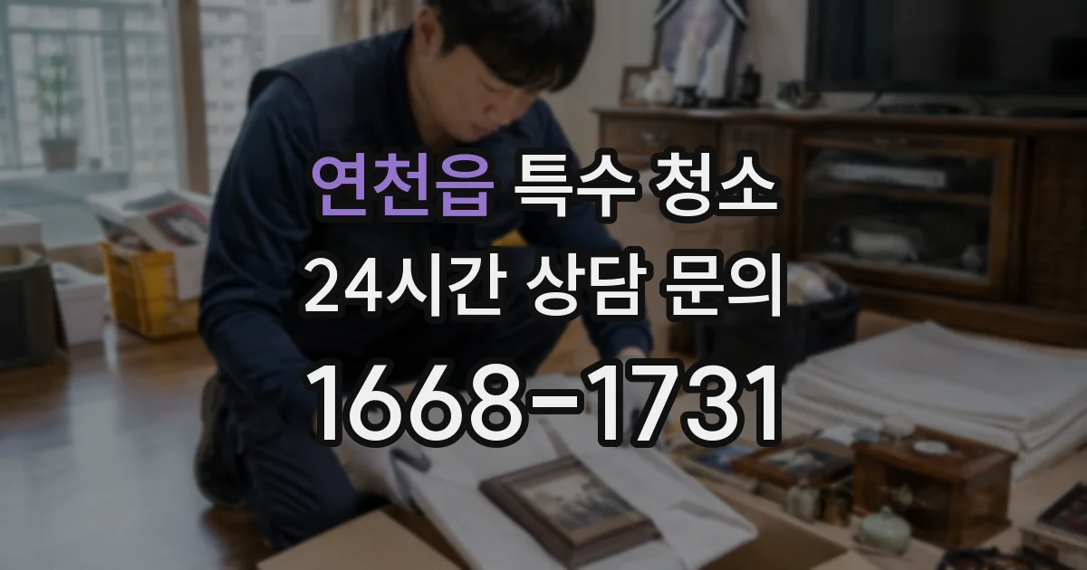 연천읍 특수 청소