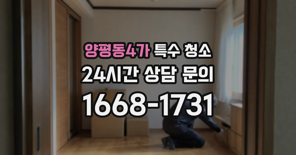 양평동4가 특수 청소