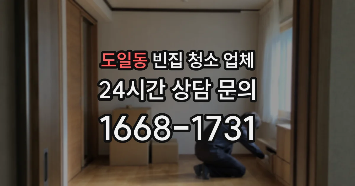 도일동 빈집 청소 업체