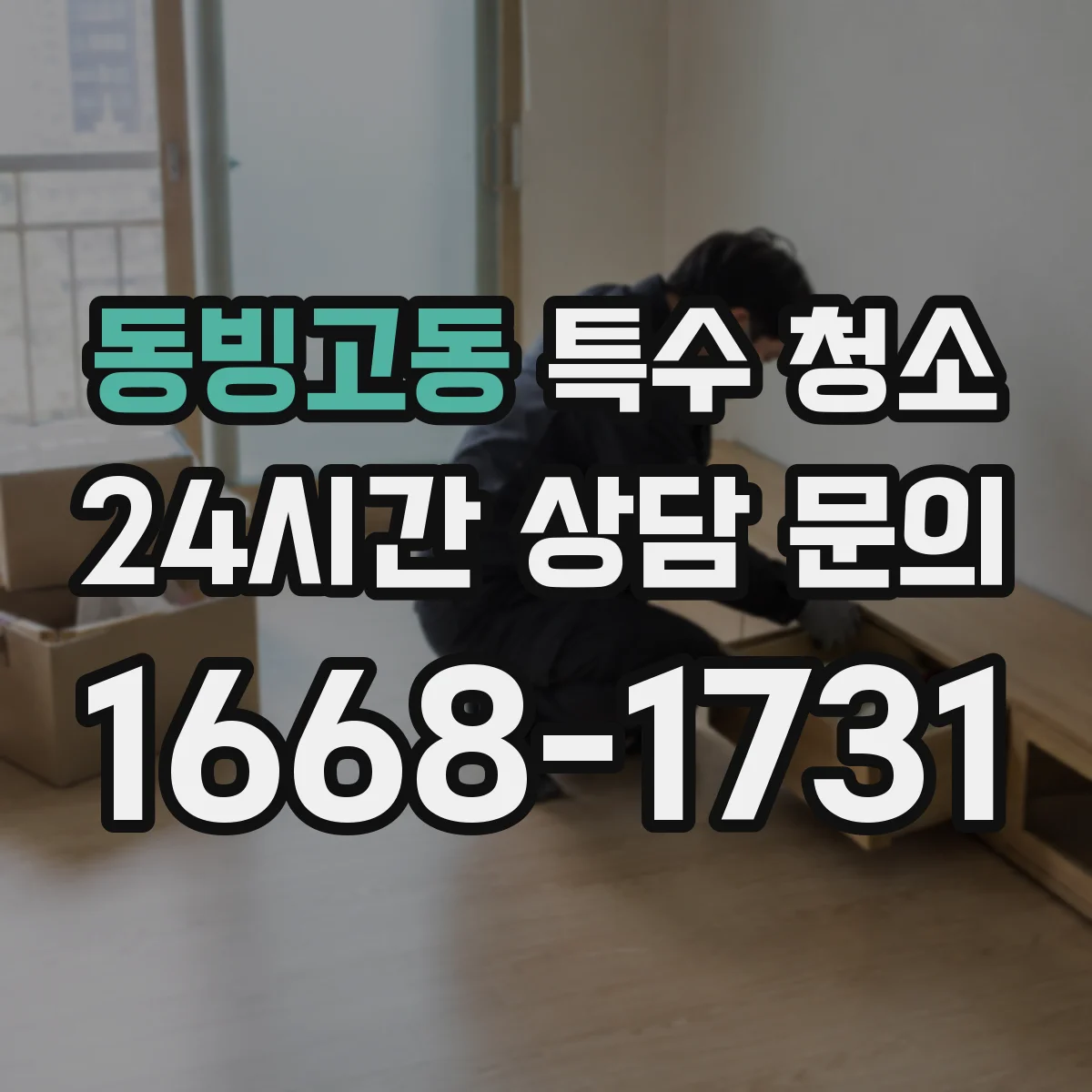 동빙고동 특수 청소