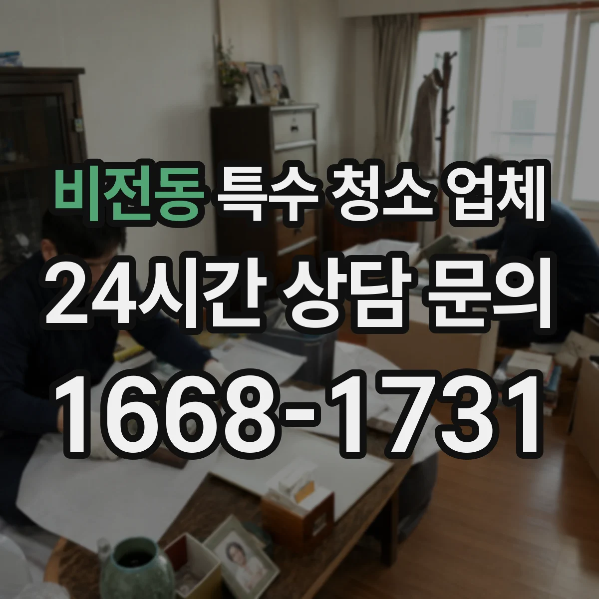 비전동 특수 청소 업체