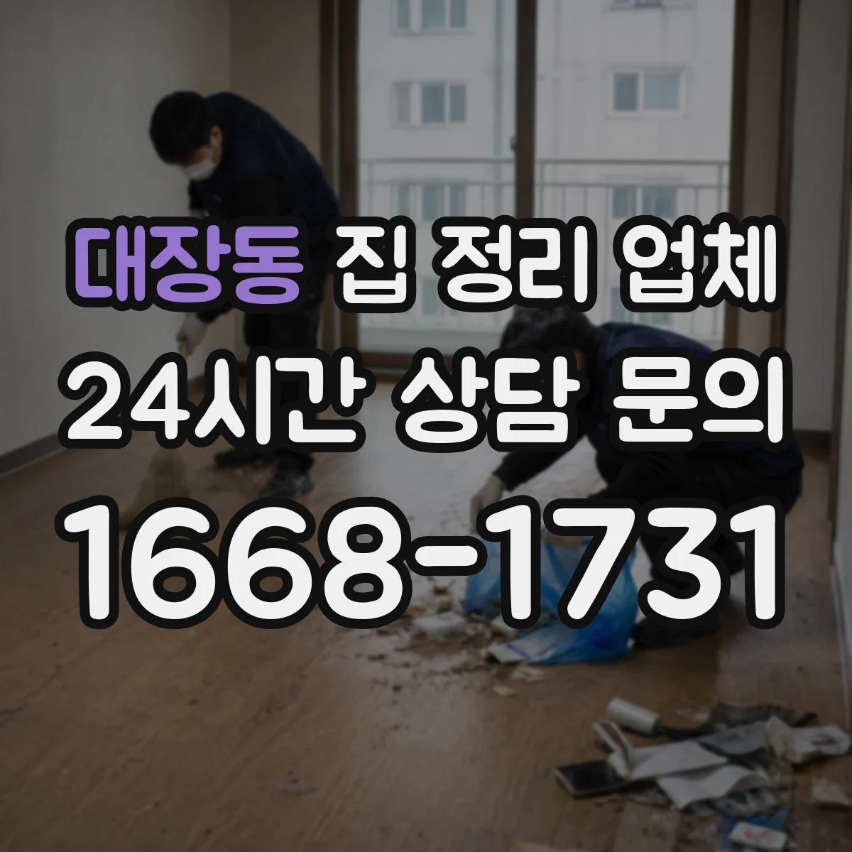 대장동 집 정리 업체