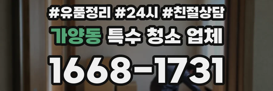 가양동 특수 청소 업체