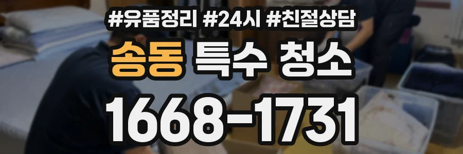 송동 특수 청소