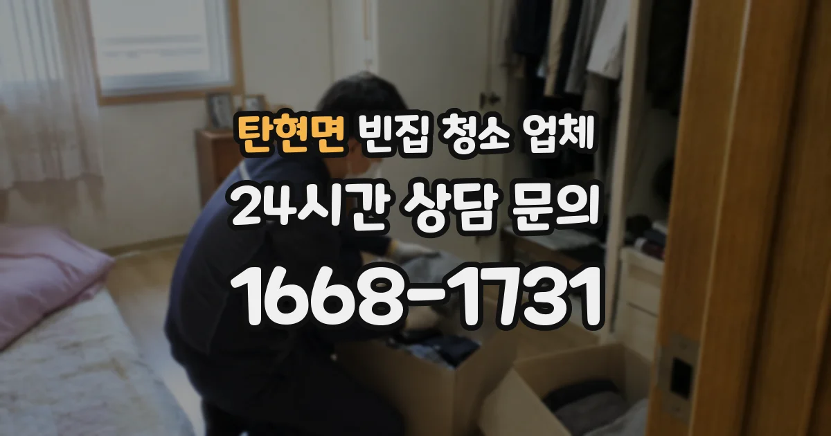 탄현면 빈집 청소 업체