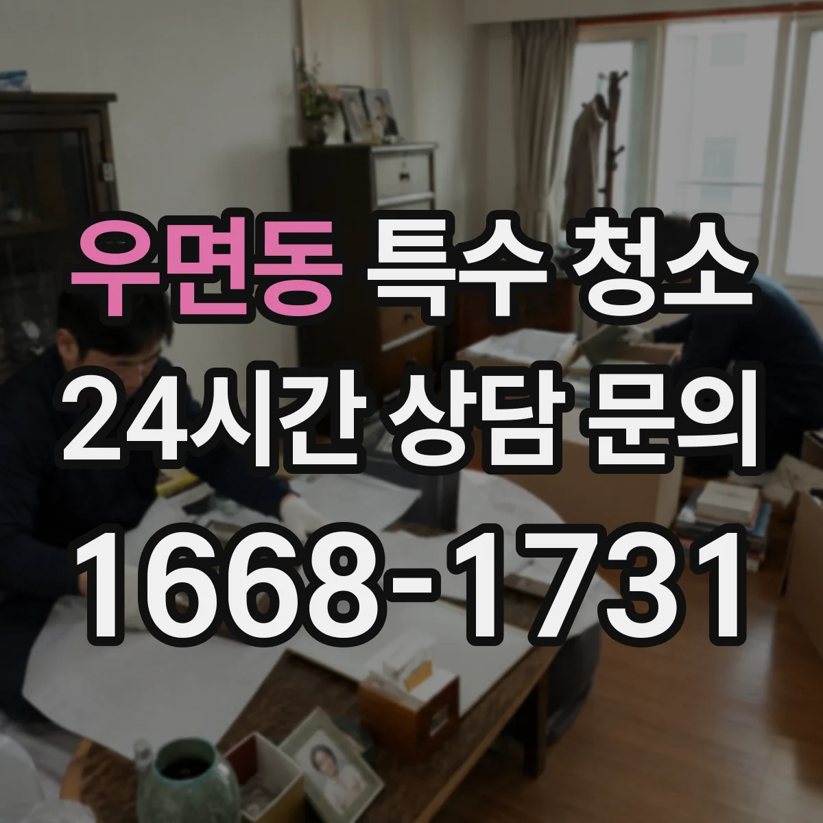 우면동 특수 청소