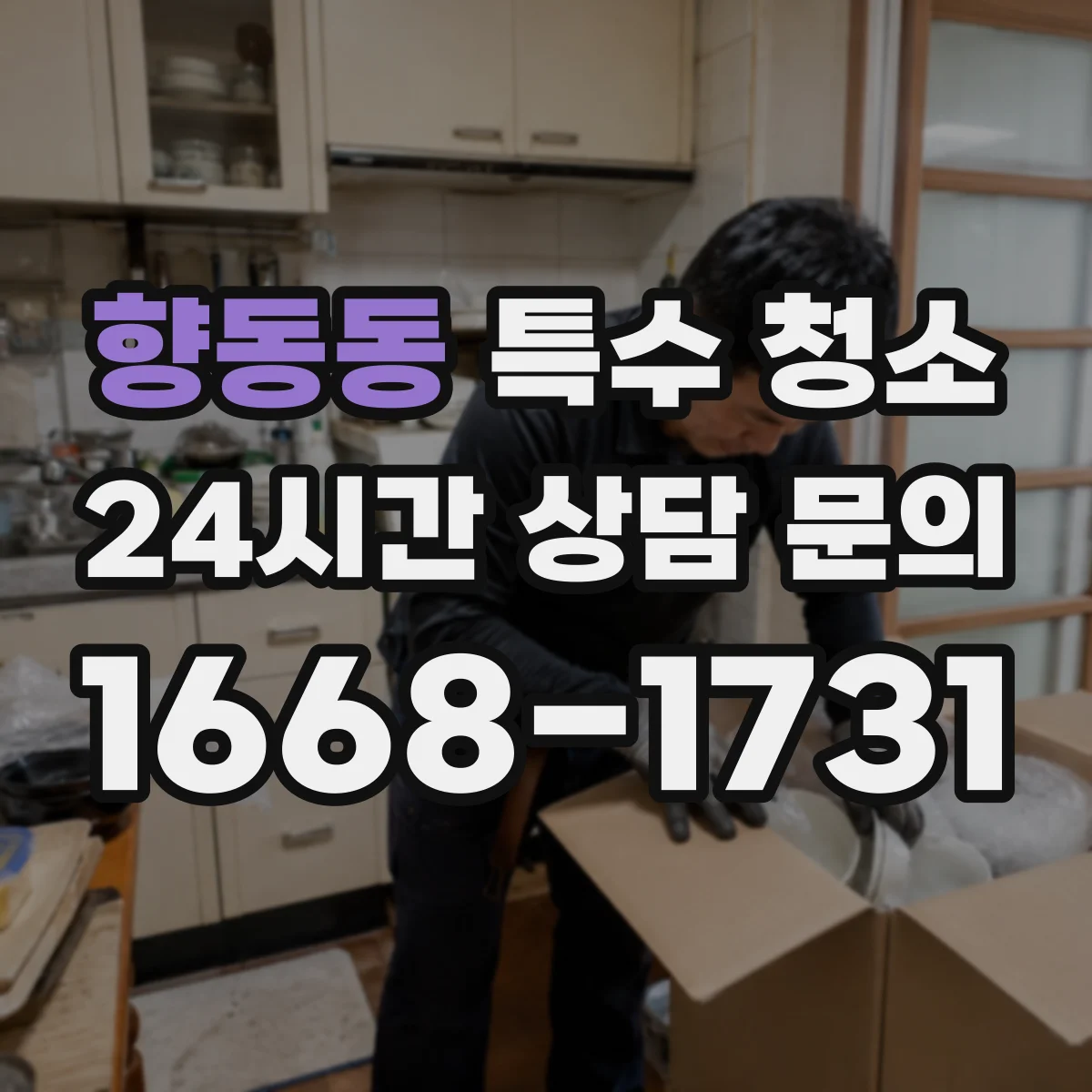 향동동 특수 청소