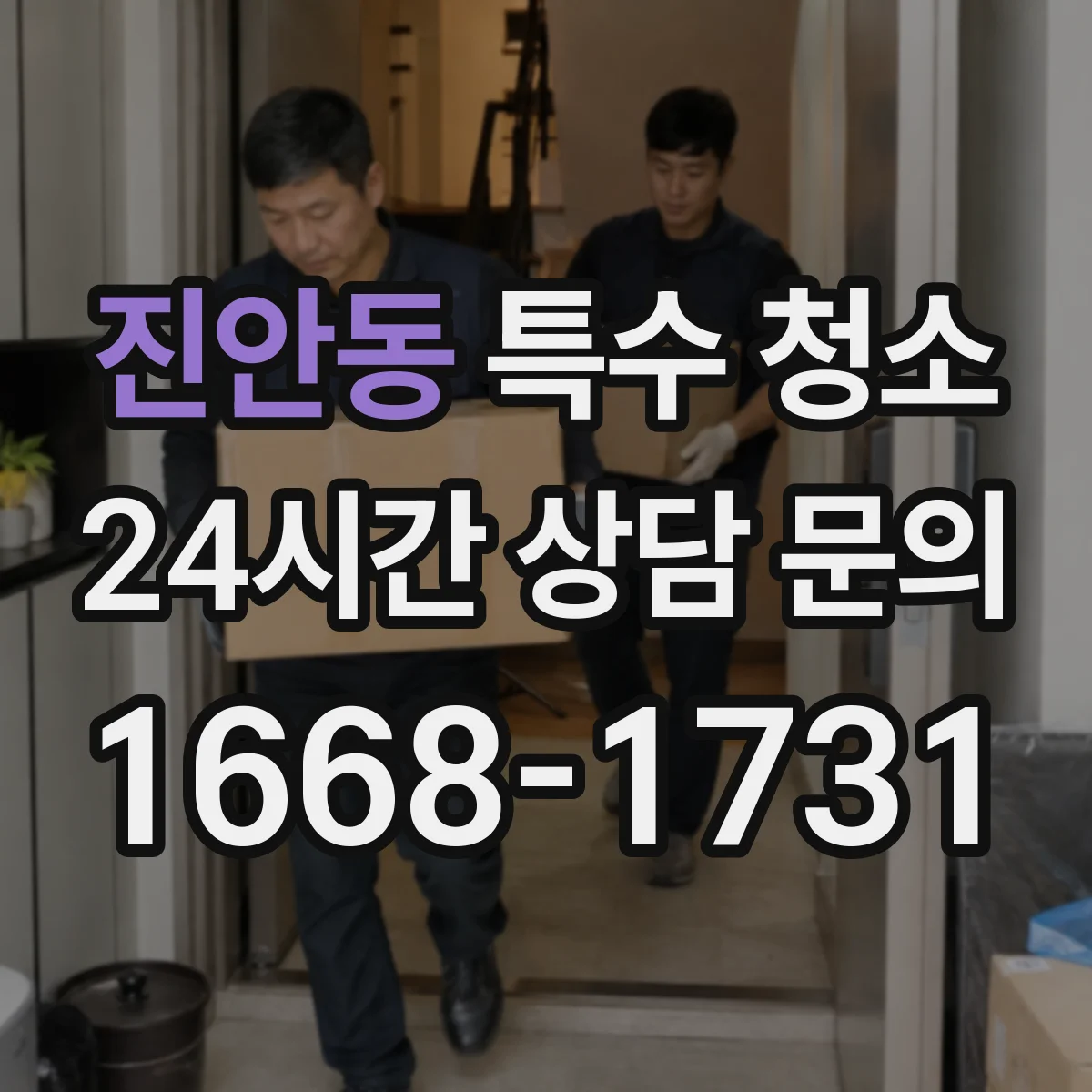 진안동 특수 청소