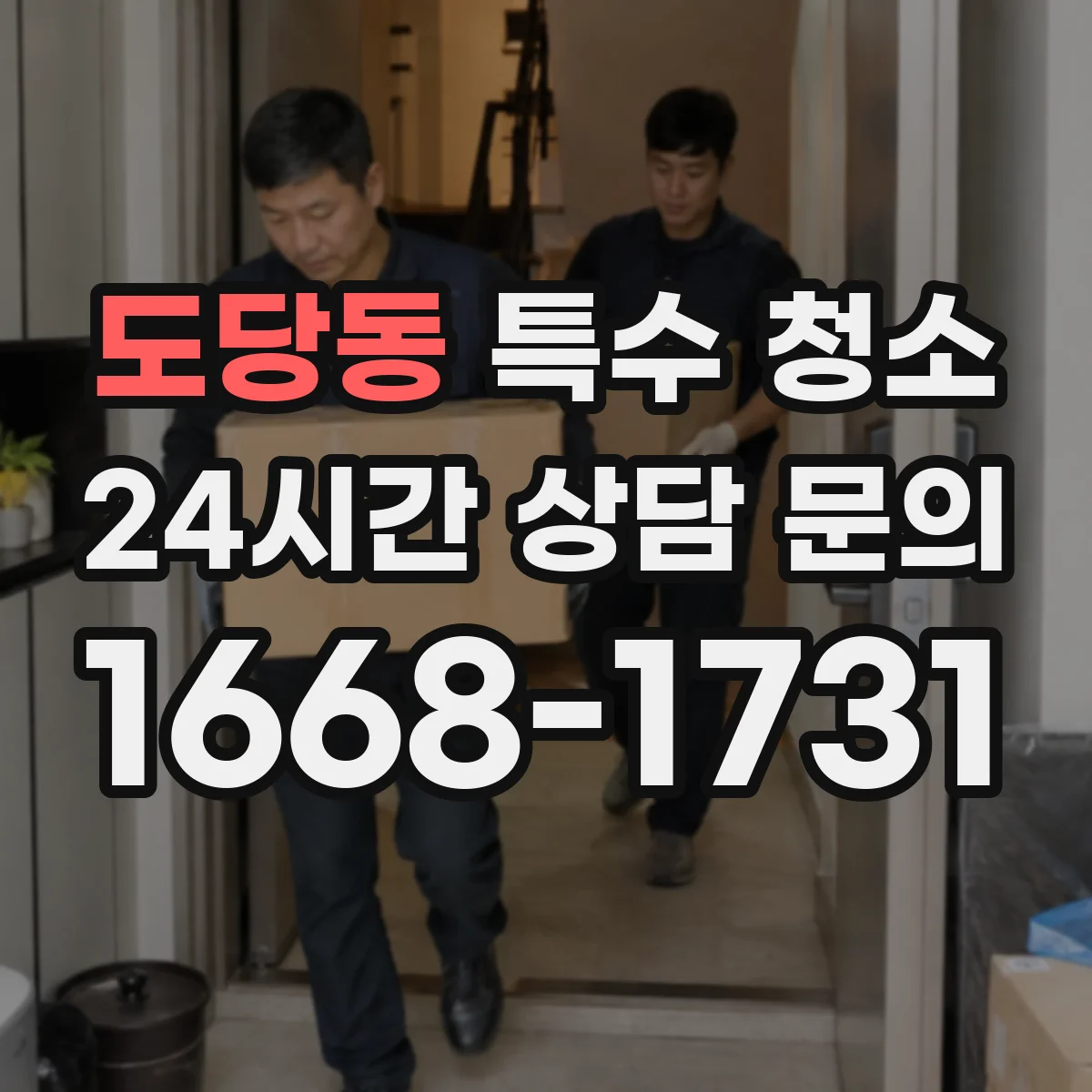도당동 특수 청소