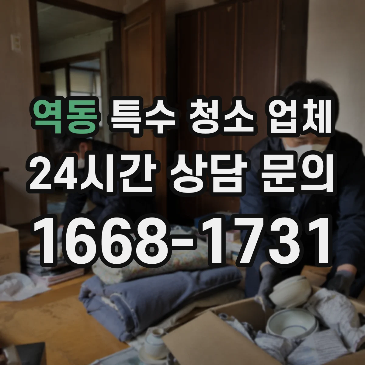 역동 특수 청소 업체
