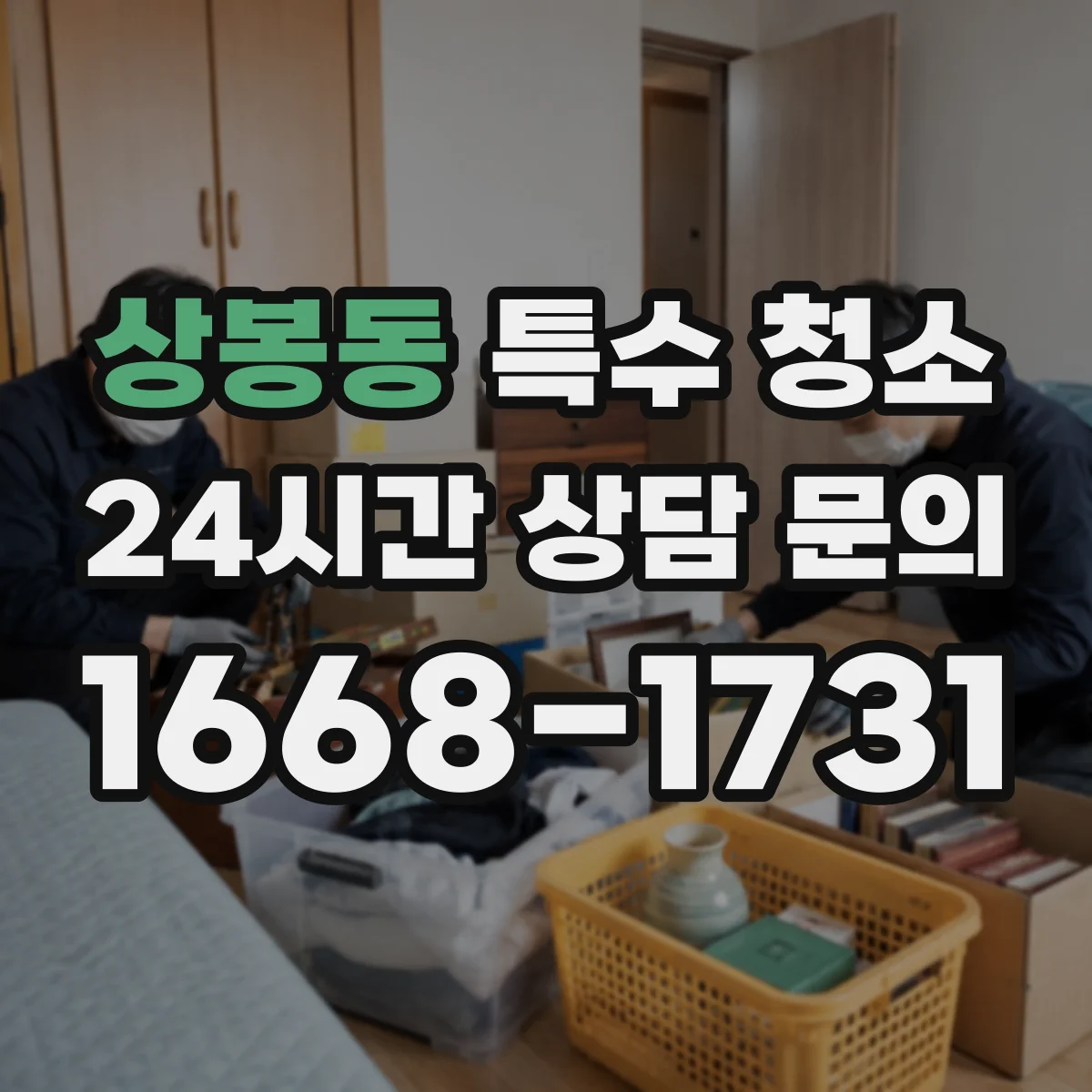 상봉동 특수 청소