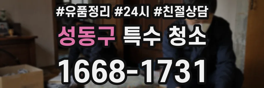 성동구 특수 청소