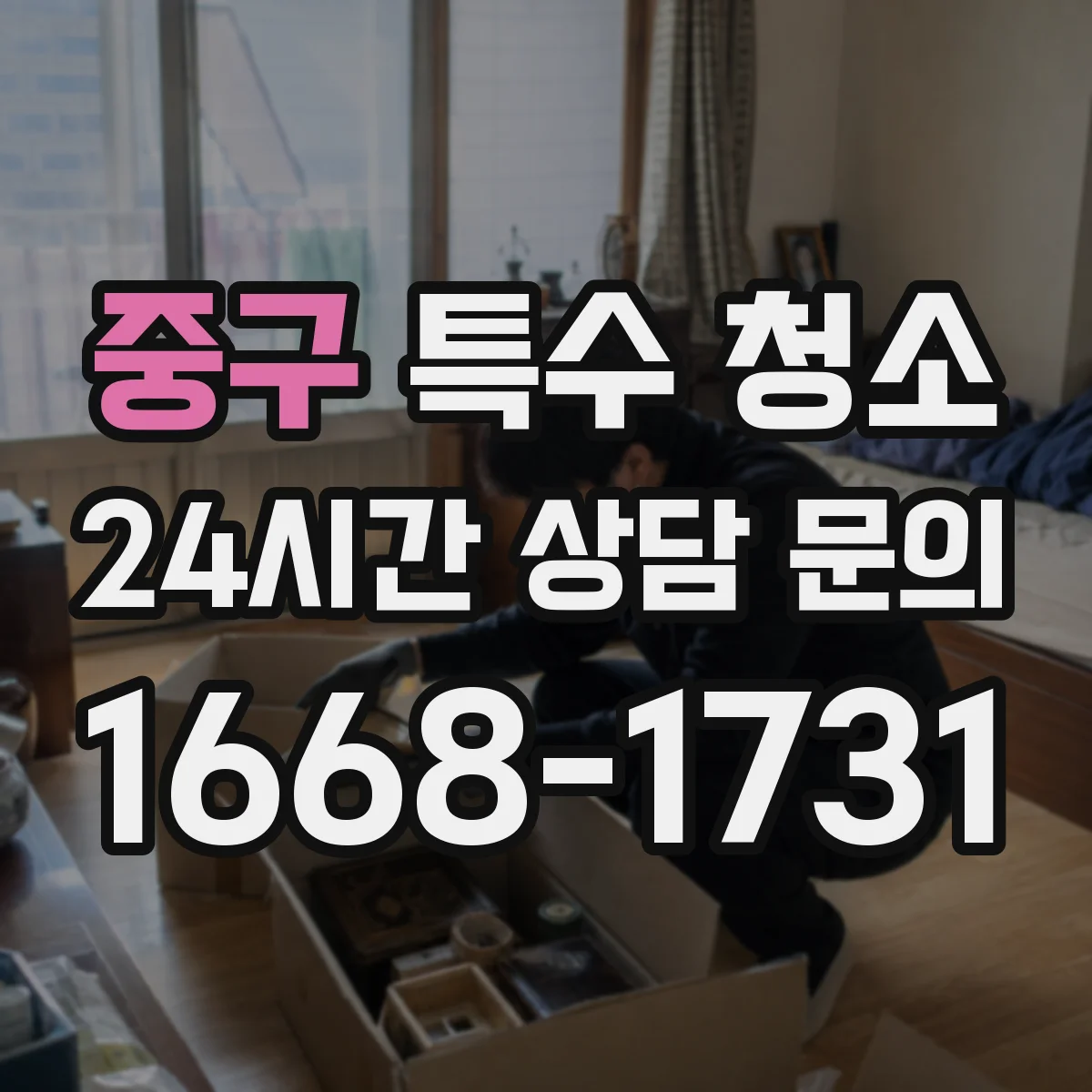 중구 특수 청소