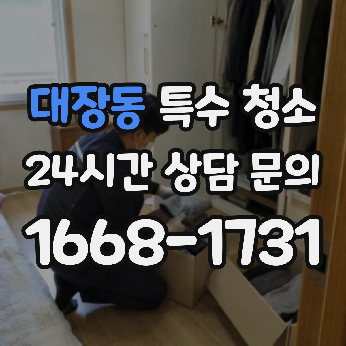 대장동 특수 청소