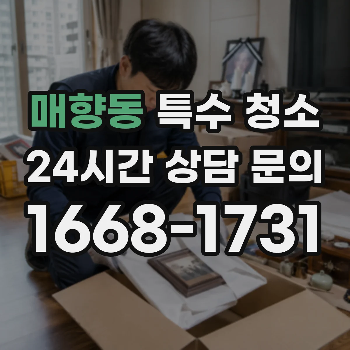 매향동 특수 청소