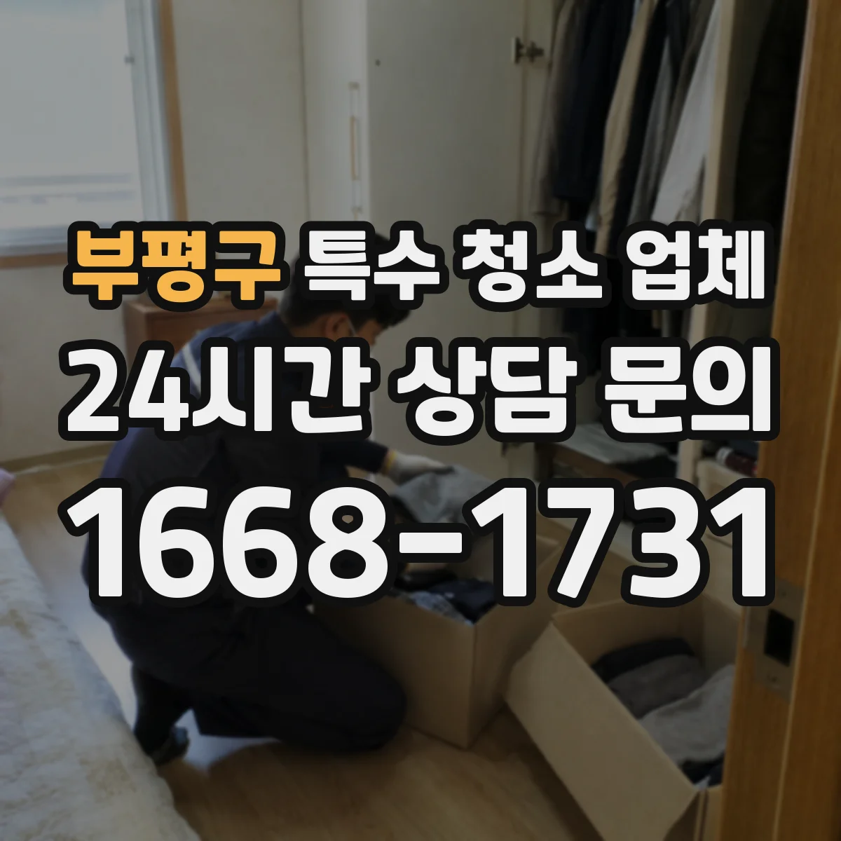 부평구 특수 청소 업체
