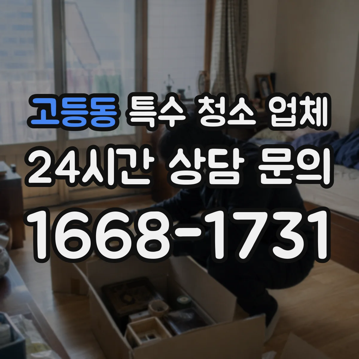 고등동 특수 청소 업체