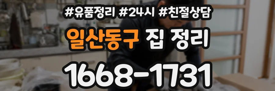 일산동구 집 정리
