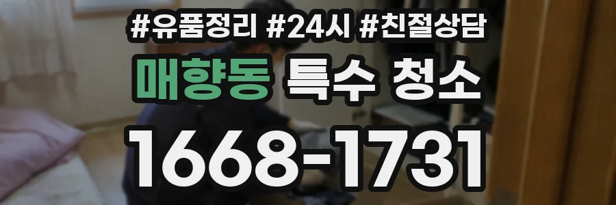 매향동 특수 청소