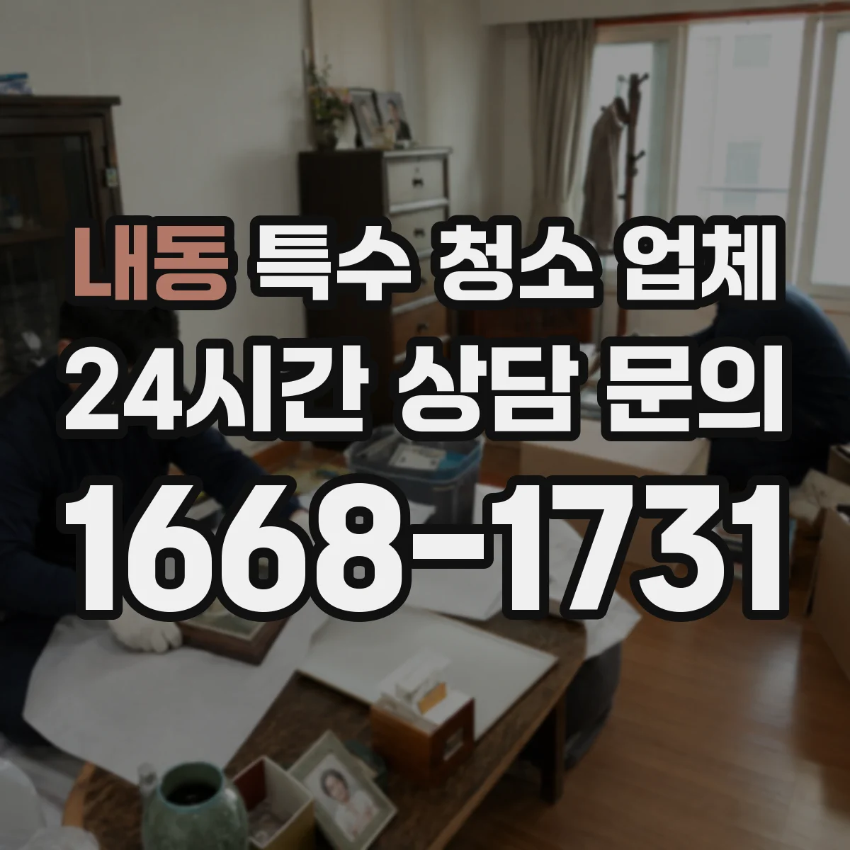 내동 특수 청소 업체
