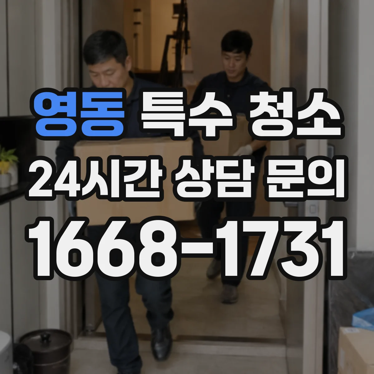 영동 특수 청소