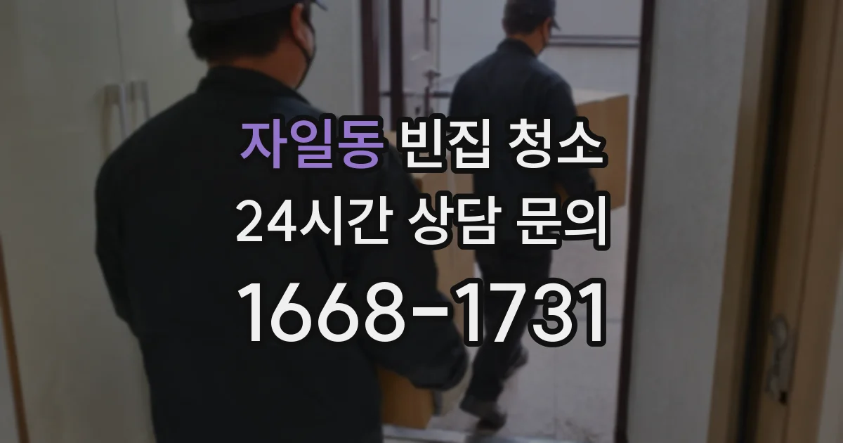 자일동 빈집 청소
