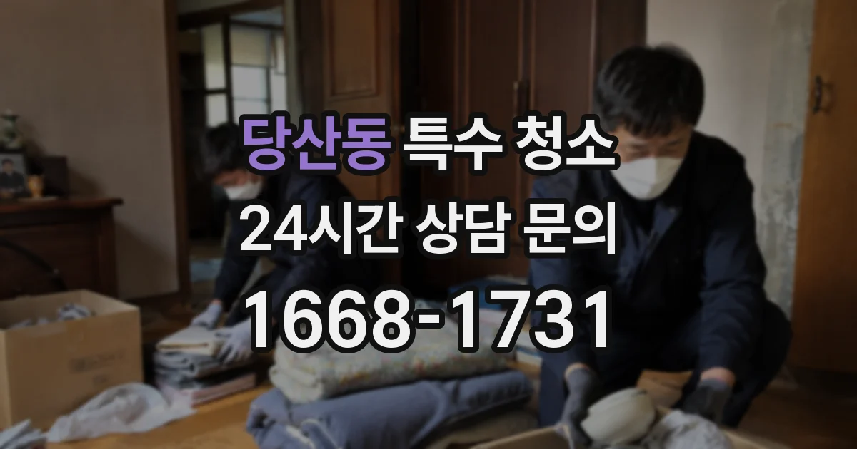 당산동 특수 청소