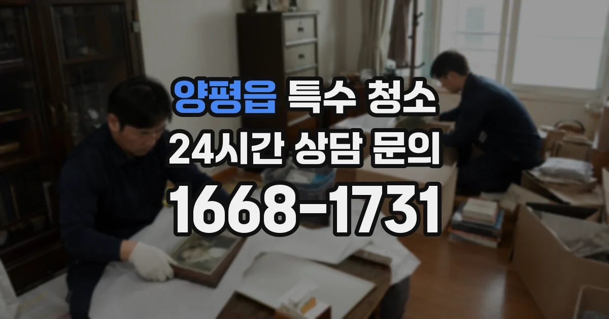 양평읍 특수 청소