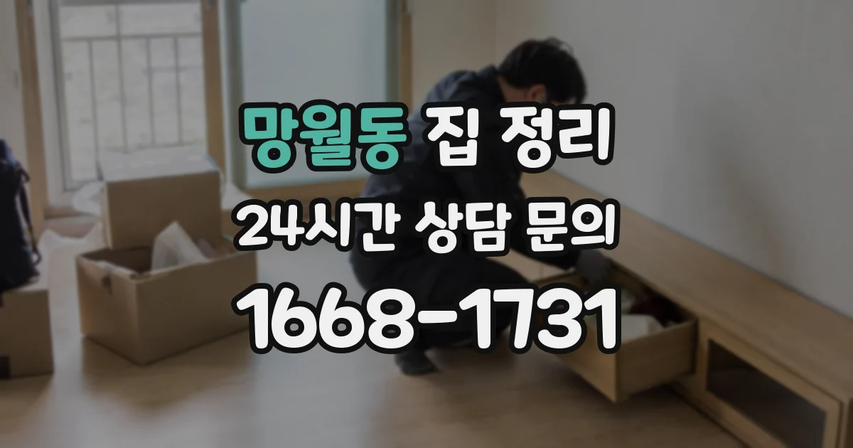 망월동 집 정리