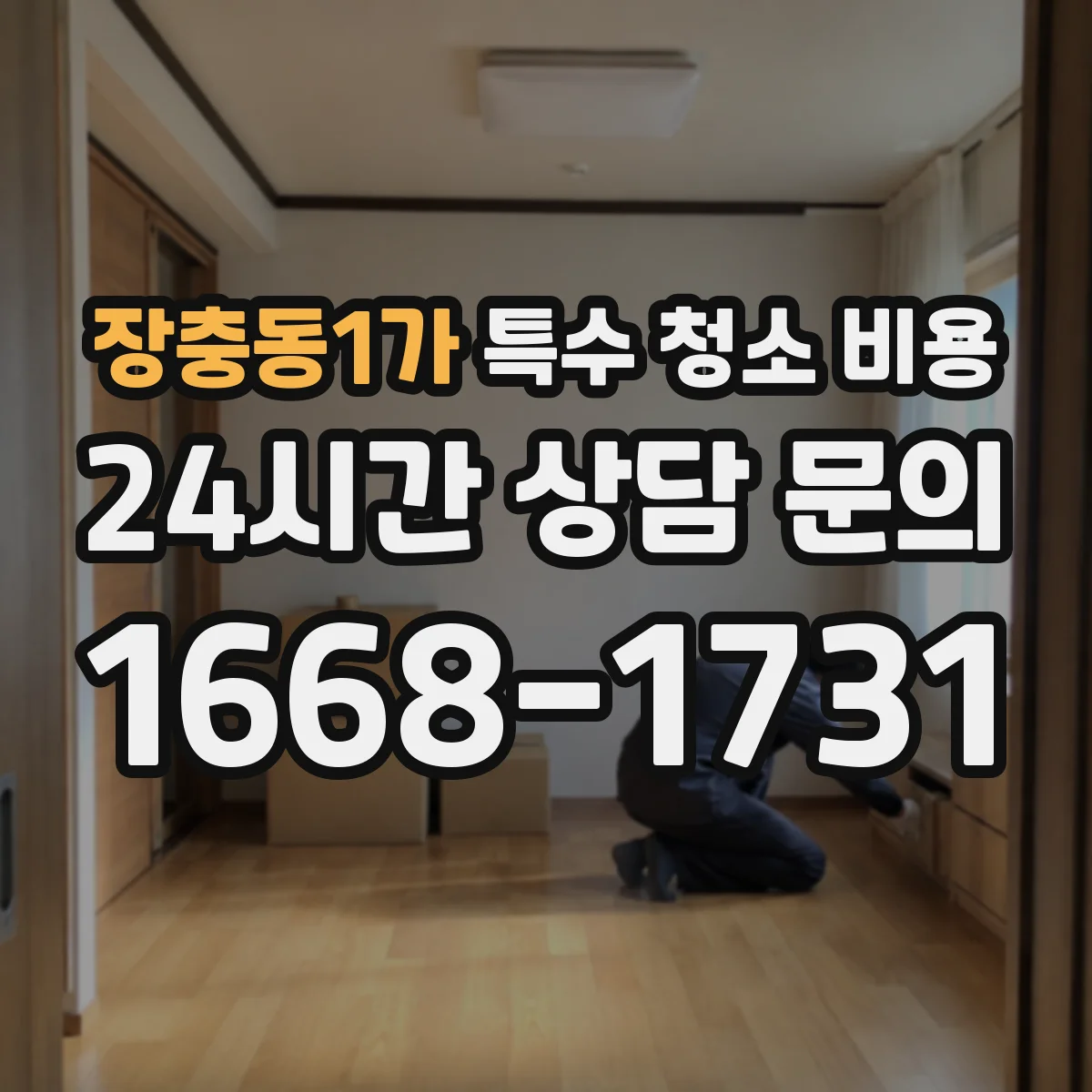 장충동1가 특수 청소 비용 곰팡이 재발 방지 작업 포함 시 비용