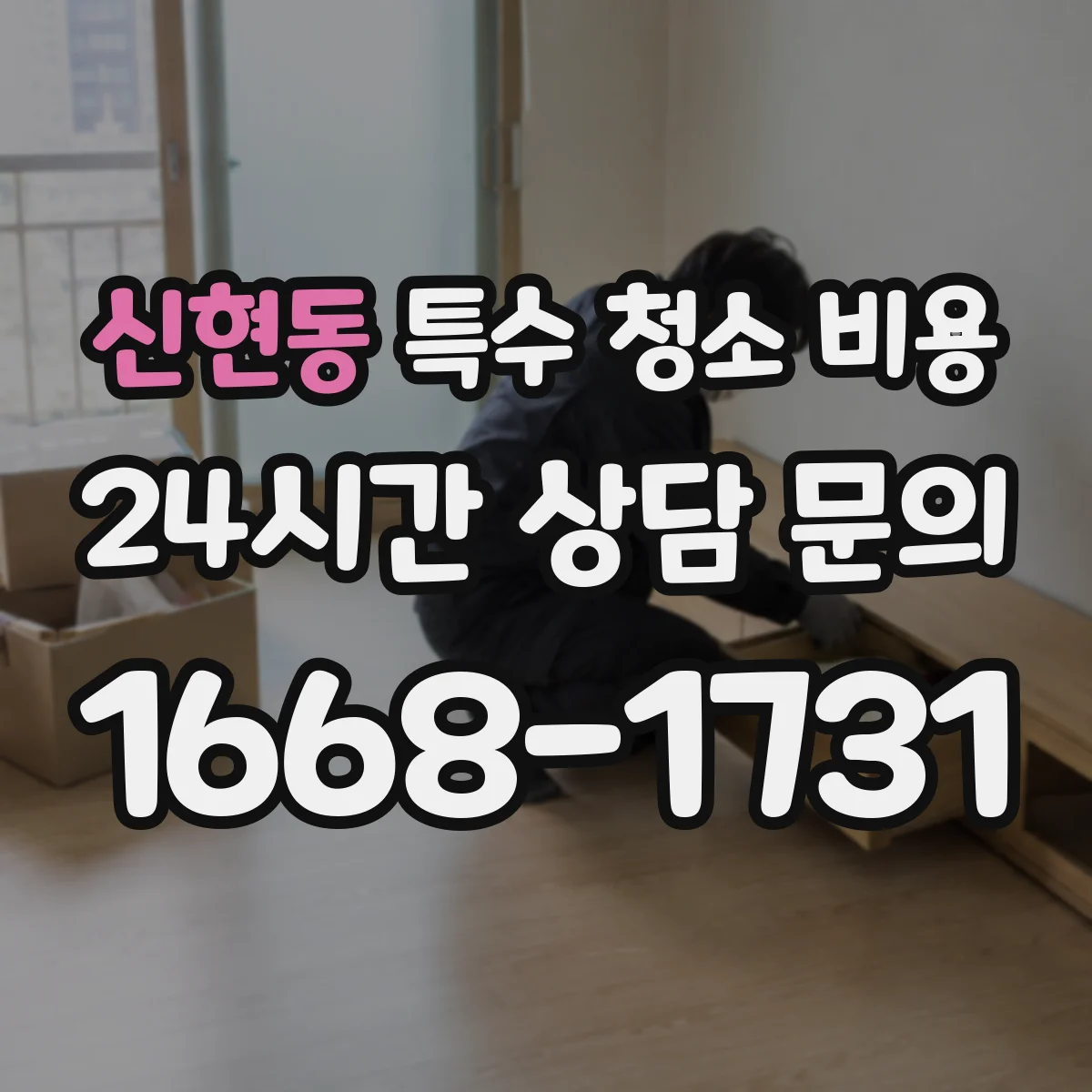 신현동 특수 청소 비용