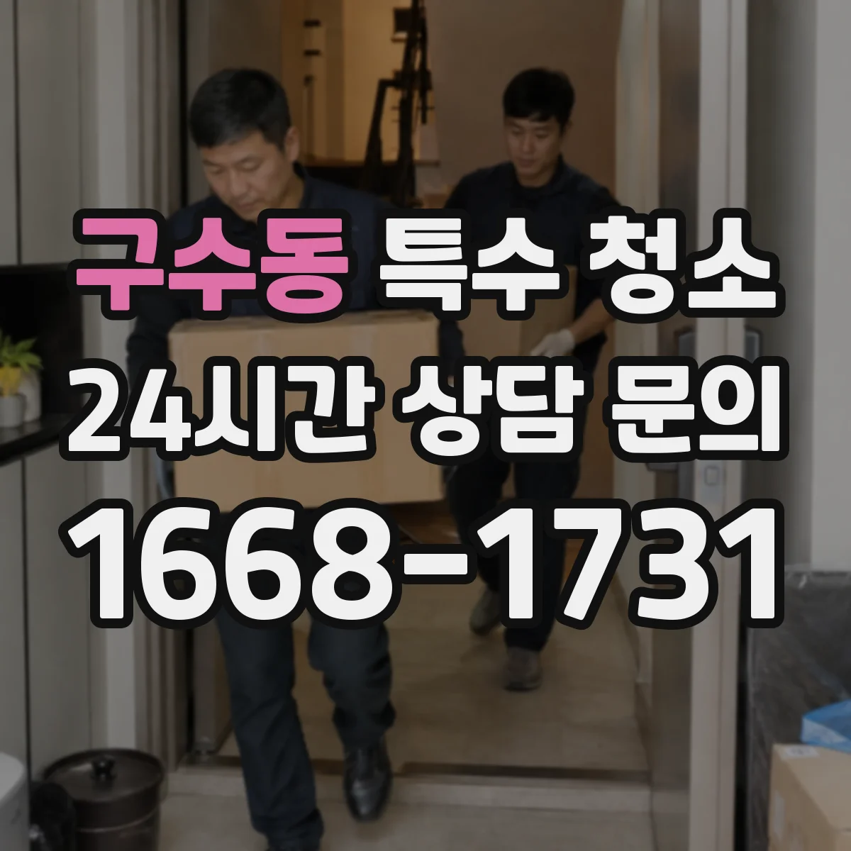 구수동 특수 청소