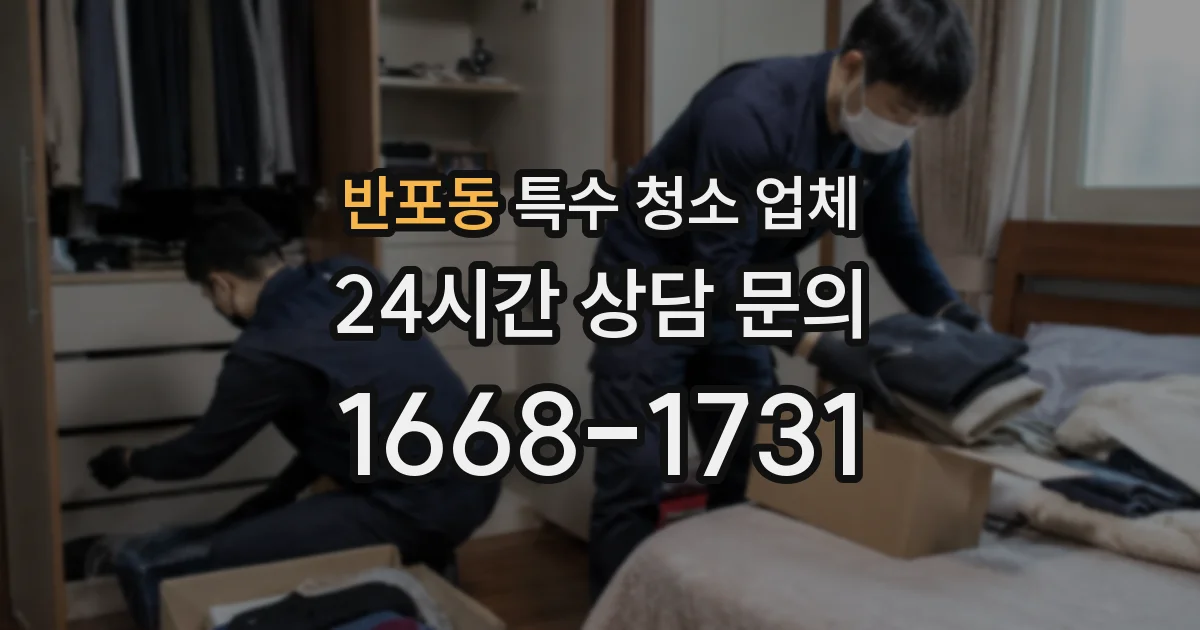 반포동 특수 청소 업체