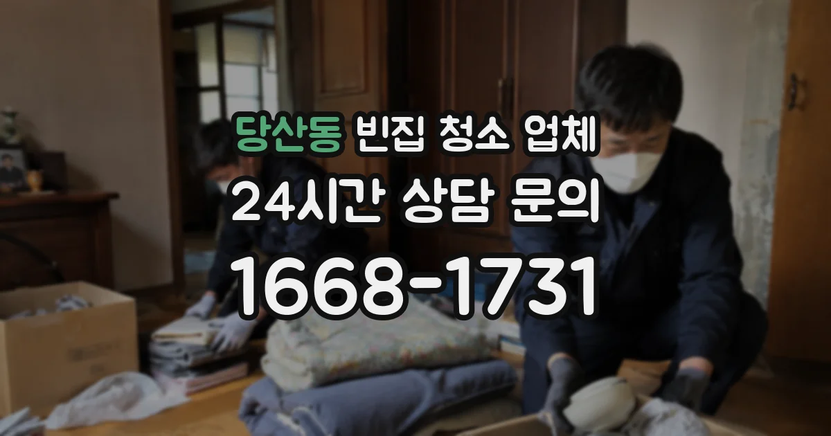 당산동 빈집 청소 업체