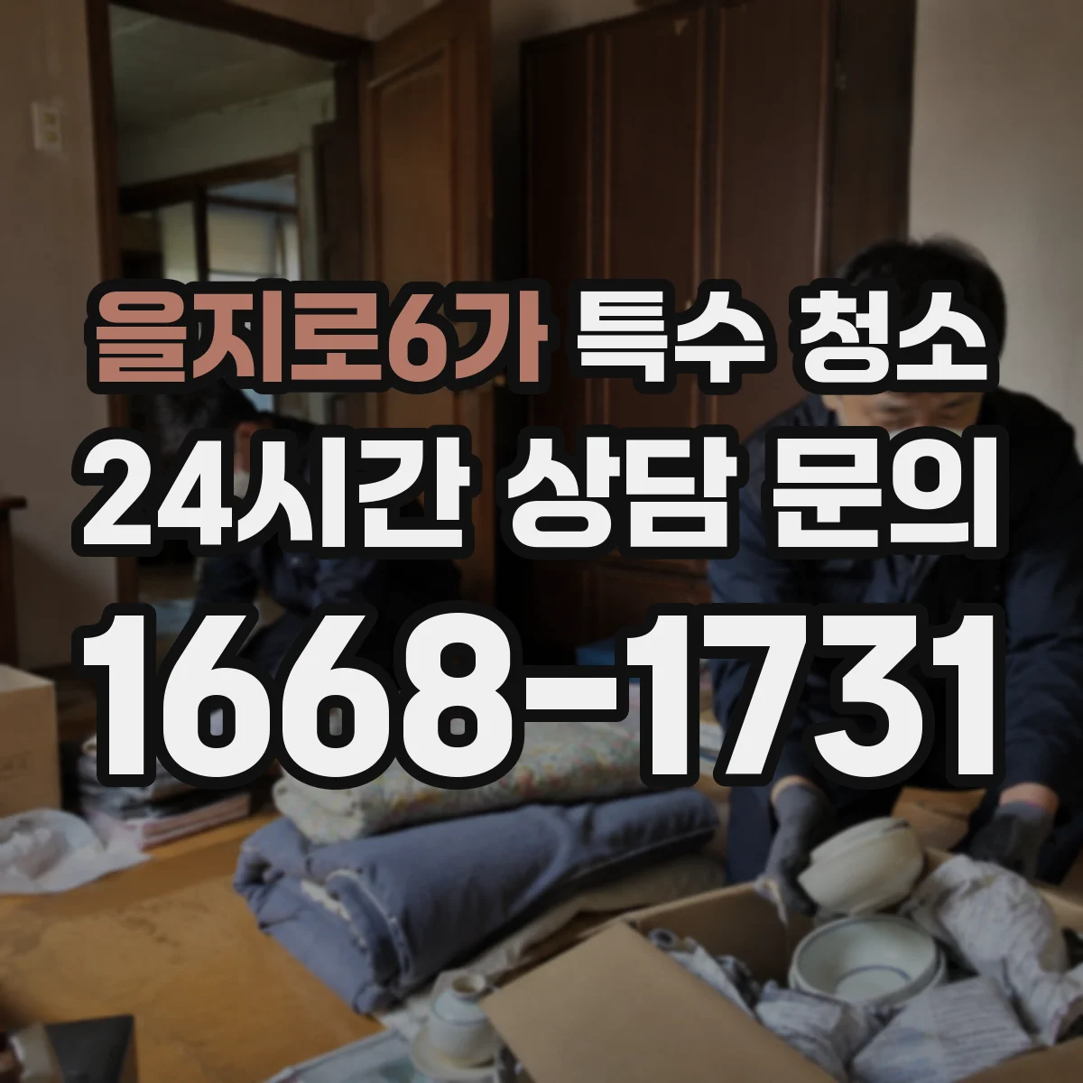 을지로6가 특수 청소