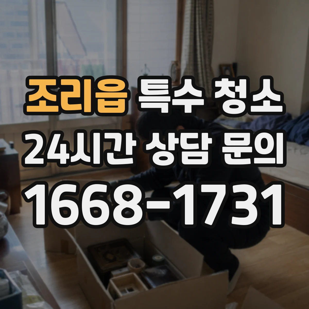 조리읍 특수 청소