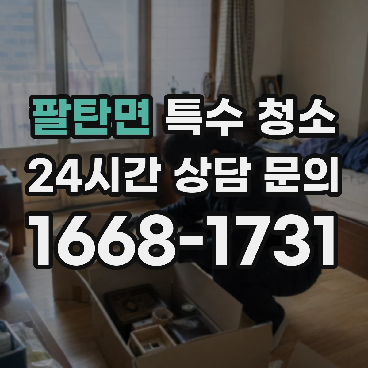 팔탄면 특수 청소