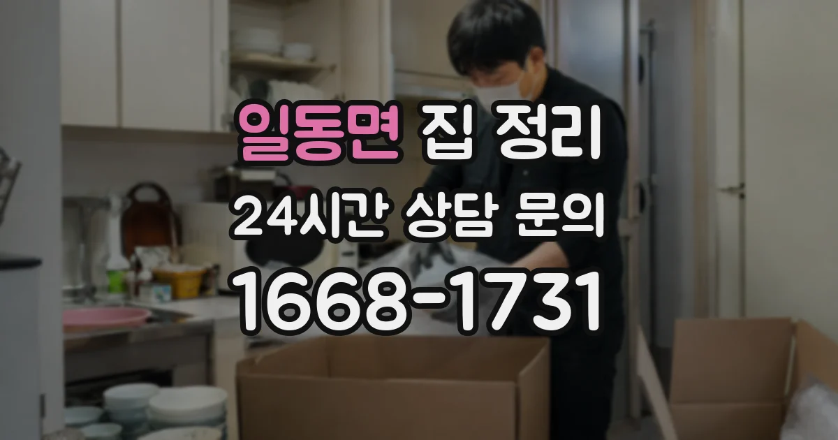 일동면 집 정리