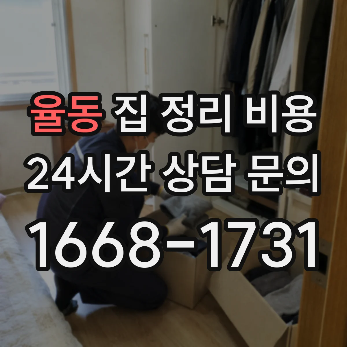 율동 집 정리 비용