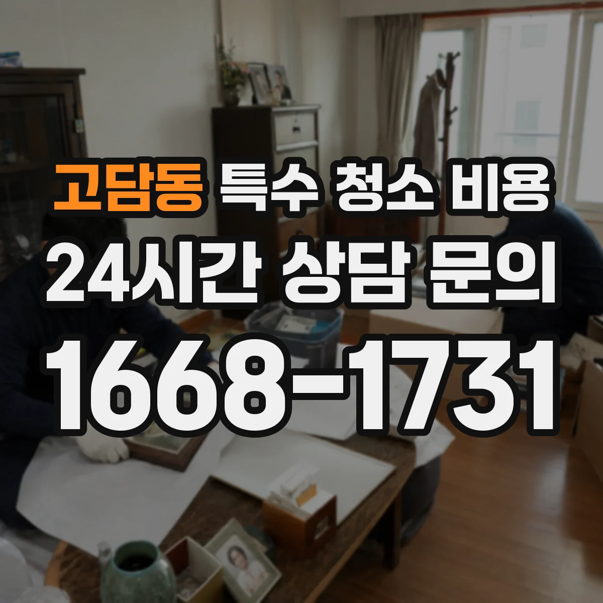 고담동 특수 청소 비용