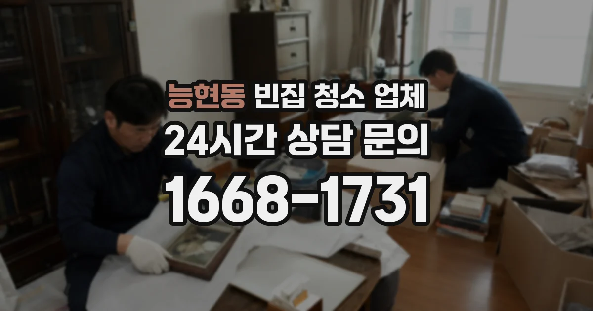 능현동 빈집 청소 업체