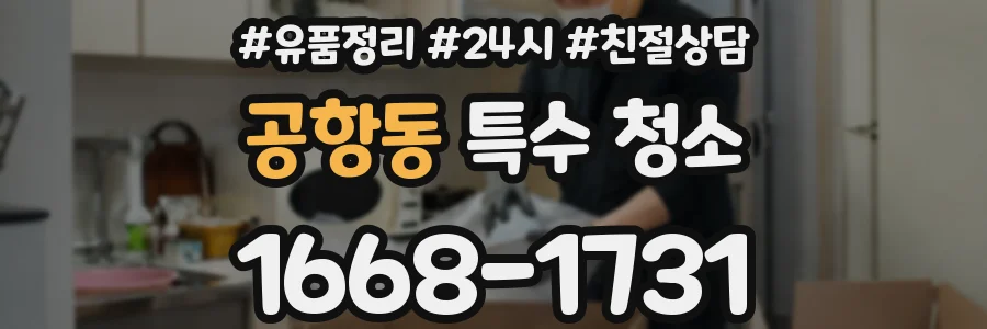 공항동 특수 청소