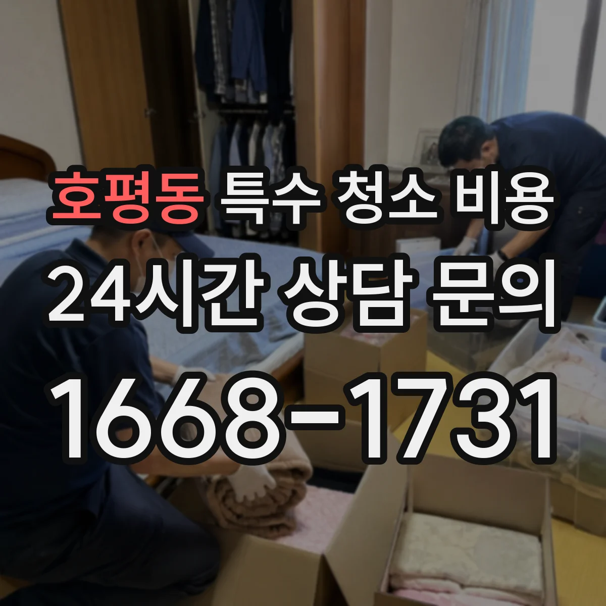 호평동 특수 청소 비용