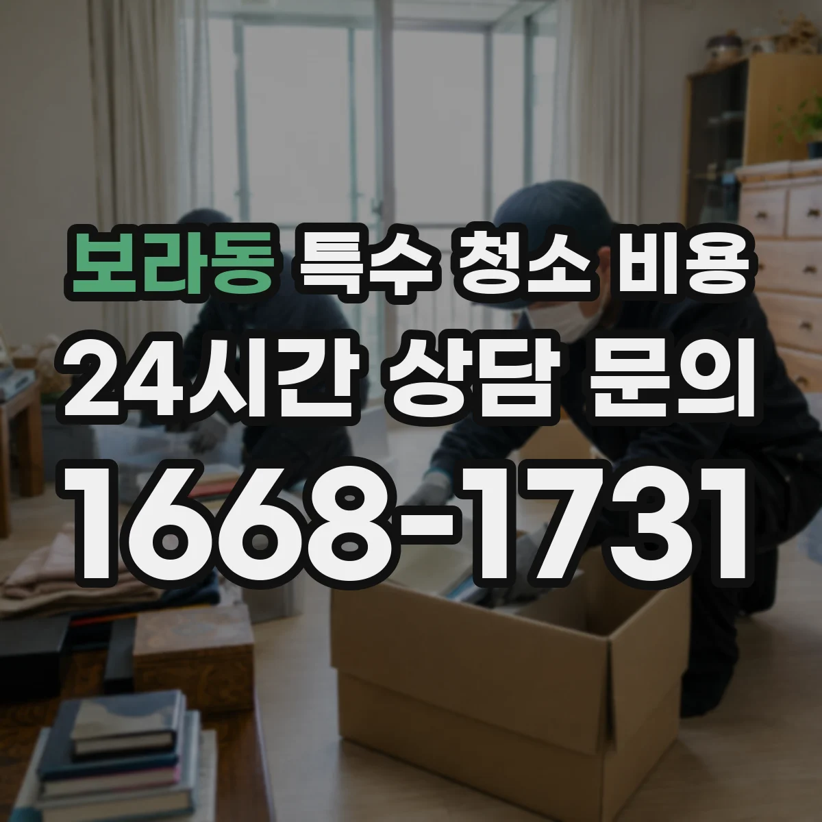 보라동 특수 청소 비용