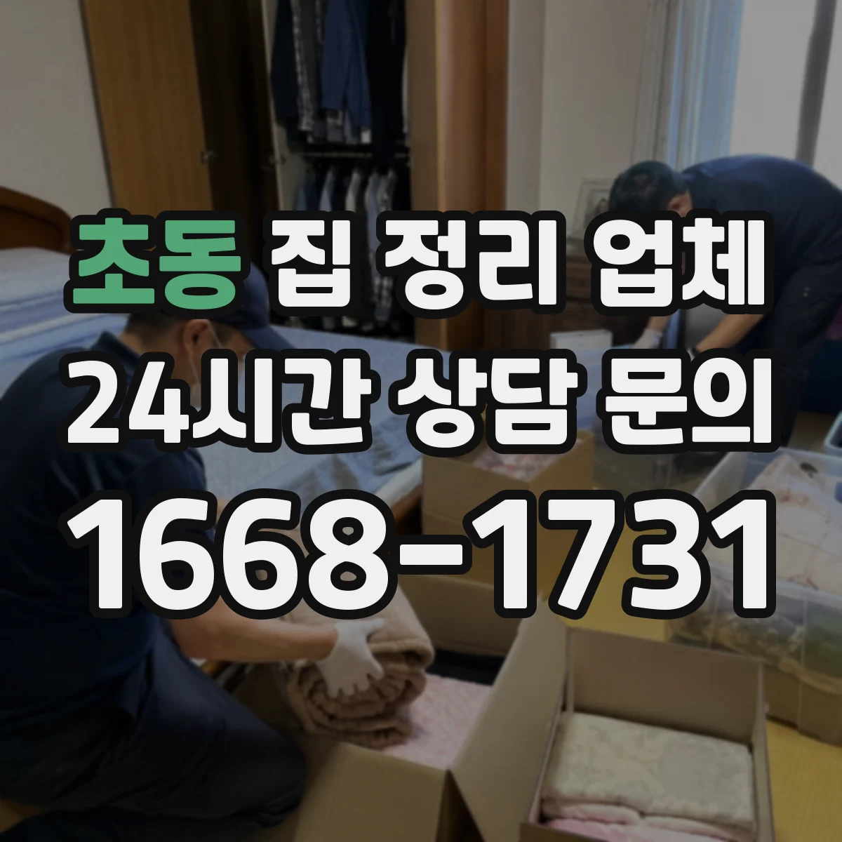 초동 집 정리 업체