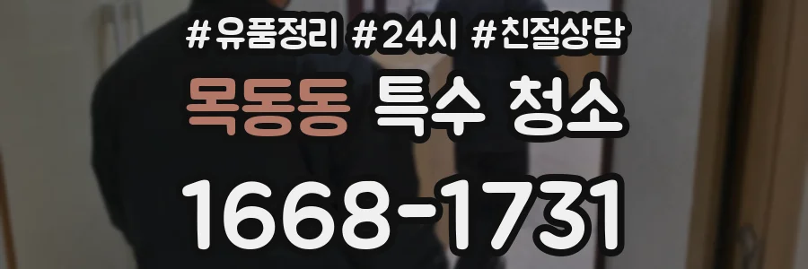 목동동 특수 청소