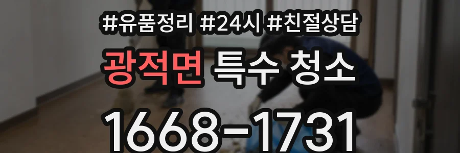 광적면 특수 청소